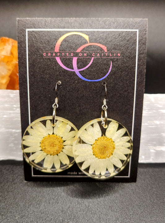 Light Yellow Daisy Dangles