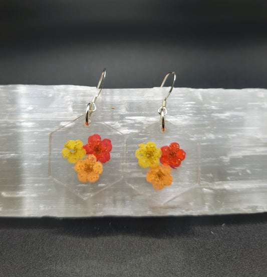 Sunset Narcissus Hex Dangles