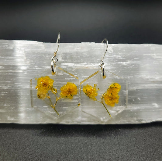 Baby's Breath Hex Dangles