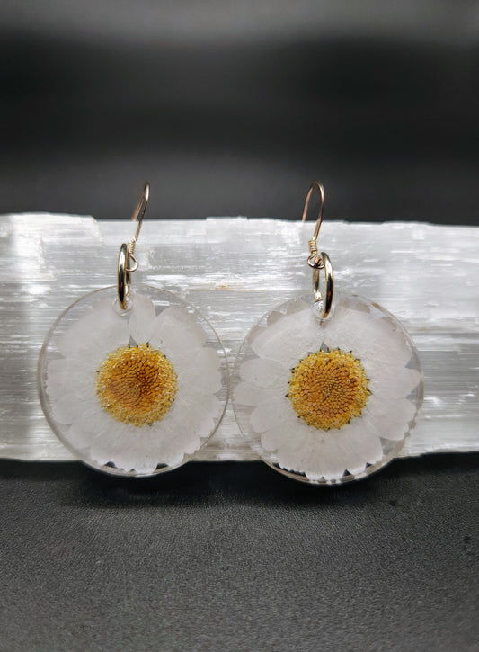 White Daisy Dangles
