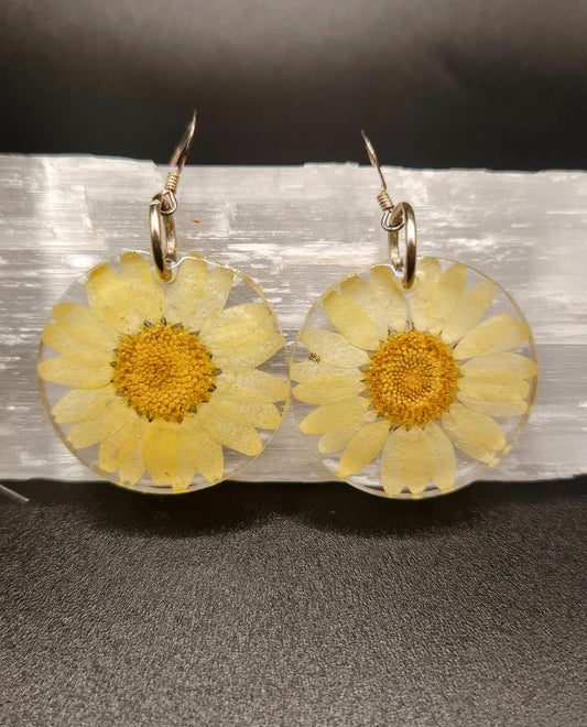 Yellow Daisy Dangles