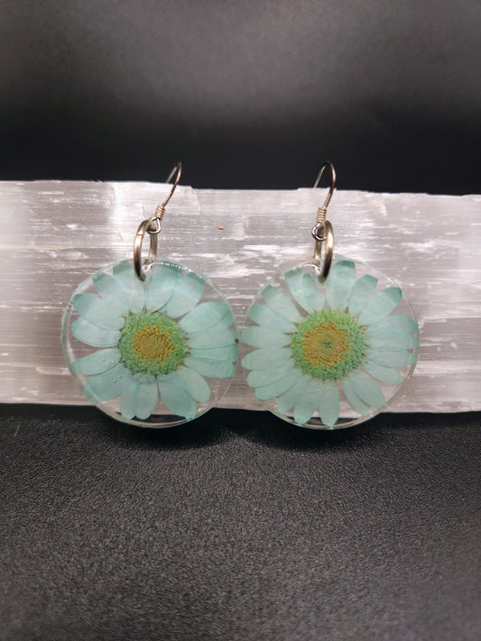 Teal Daisy Dangles